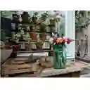 Juego De Construcción Lego 756 Piezas Ramo De Flores Adultos