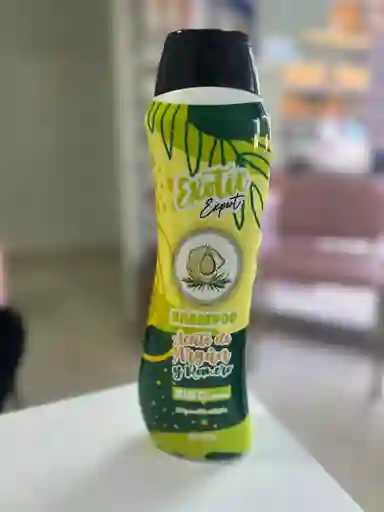Shampoo Aceite De Argan Y Romero