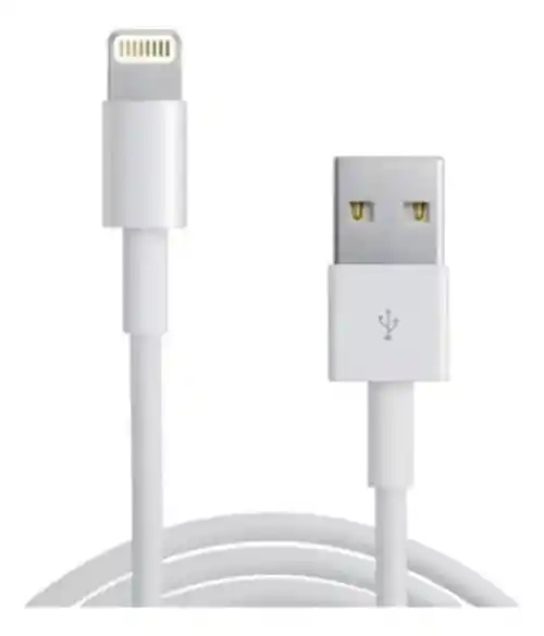 Cargador 65w Puerto Usb Con Cable Lightning 1 Mts.