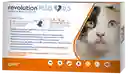 Antipulgas Gatos Pipeta Contra Pulgas Y Garrapatas Para Gatos 2 A 5 Kg Revolution Plus
