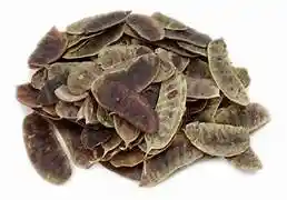 Acacia De La India 12gr
