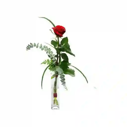 Rosa Roja En Jarron Solitario