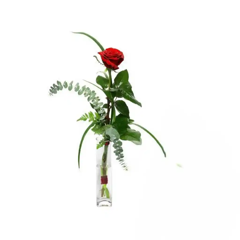 Rosa Roja En Jarron Solitario