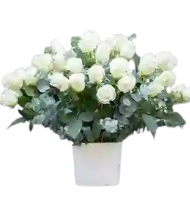 Rosas Blancas En Baserosas Blancas En Base