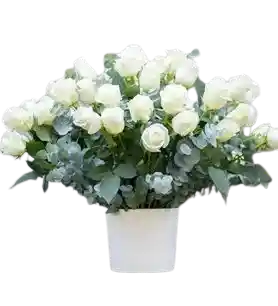 Rosas Blancas En Baserosas Blancas En Base