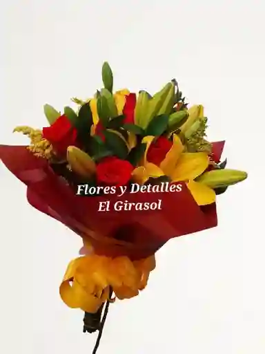 Alegría Cálida