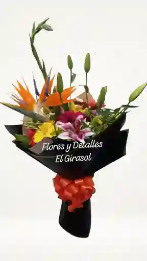 Encanto Tropical