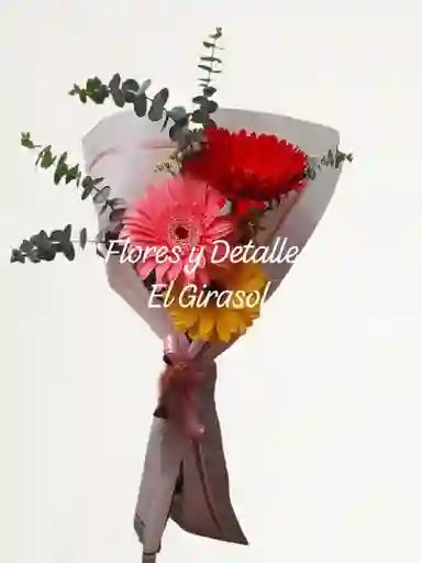 Color De Gerberas