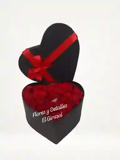 Corazón Apasionado
