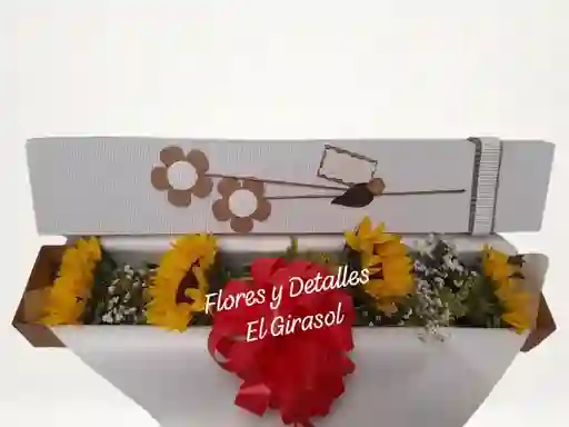 Caja Brillante