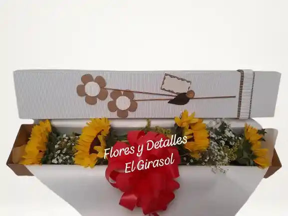 Caja Brillante