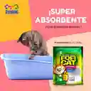 Foficat Manzana * 10kg