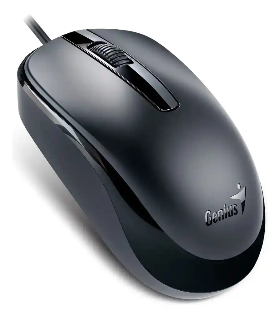 Mouse Genius Dx-120 Usb Alambrico Negro