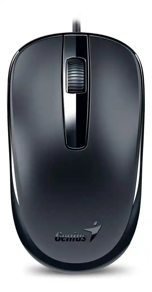 Mouse Genius Dx-120 Tipo C Alambrico Negro