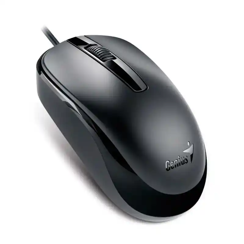 Mouse Genius Dx-120 Tipo C Alambrico Negro