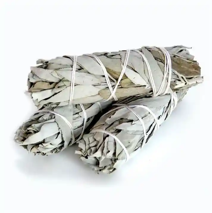 Salvia Blanca Pequeña