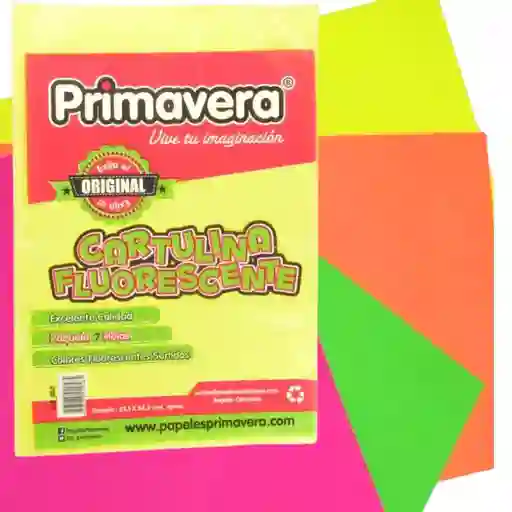 Cartulina Plana De Colores Fluorescentes X10