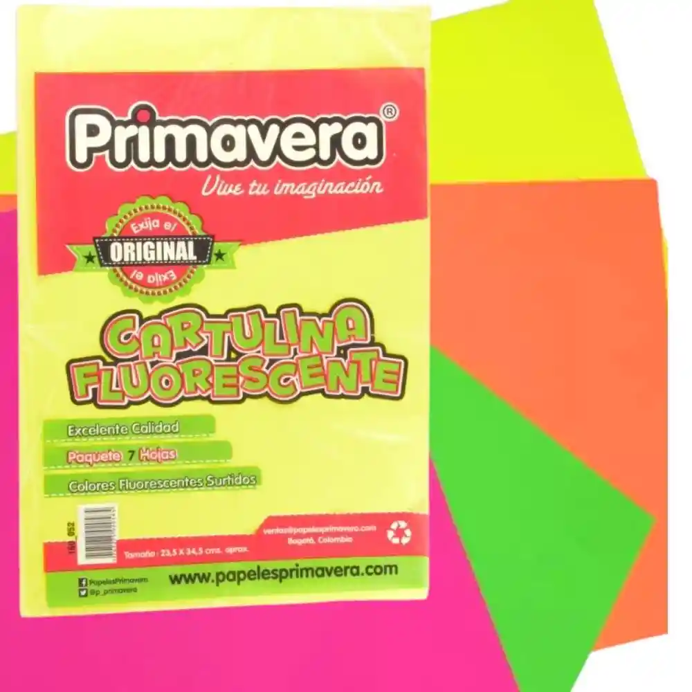 Cartulina Plana De Colores Fluorescentes X10
