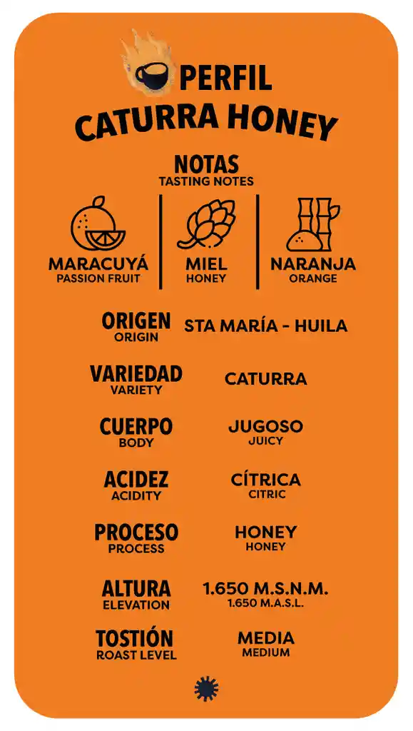 Café Especial Edición Caturra Honey 340 G (grano)