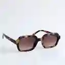 Lentes De Sol Carey
