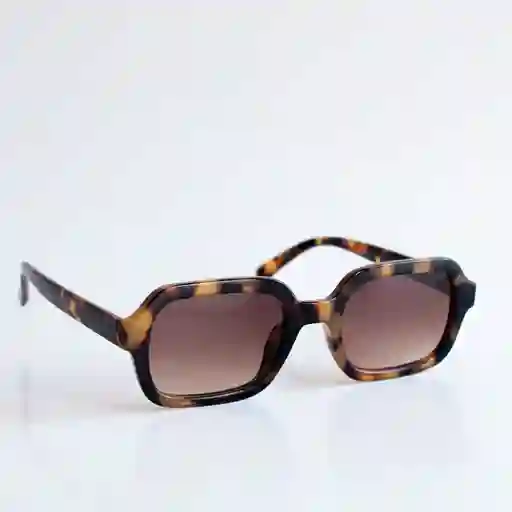 Lentes De Sol Carey