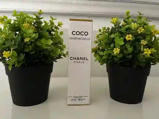 Coco Chanel Paris
