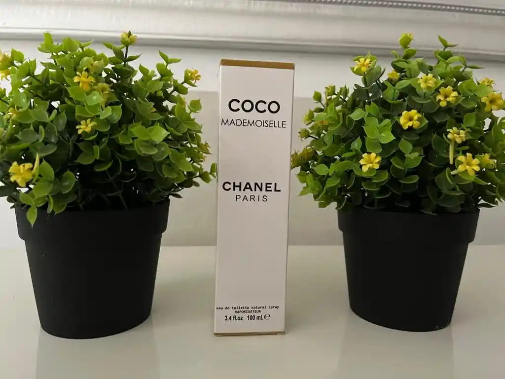 Coco Chanel Paris