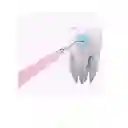 Cepillo Eléctrico Genérico Removedor De Sarro Rosa-azul