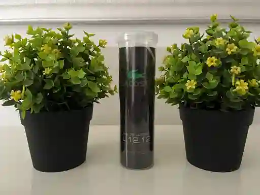 Lacoste Negro