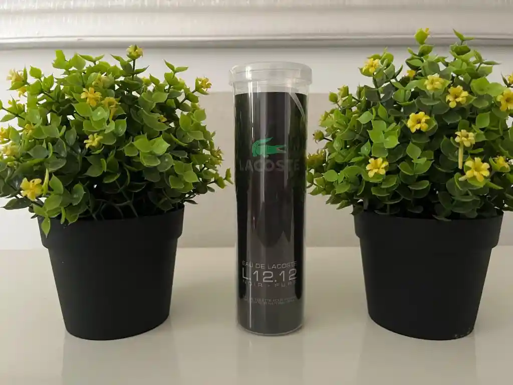 Lacoste Negro