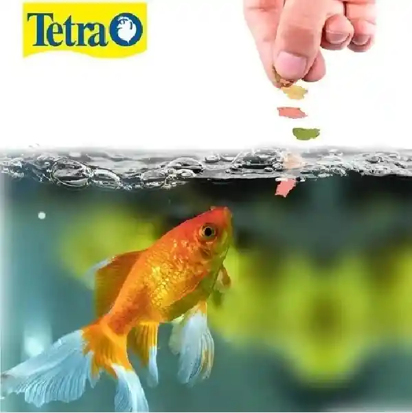 Alimento Para Peces Escamas 52g Tetra Goldfish De Agua Fría