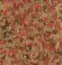Alimento Para Peces Escamas 52g Tetra Goldfish De Agua Fría