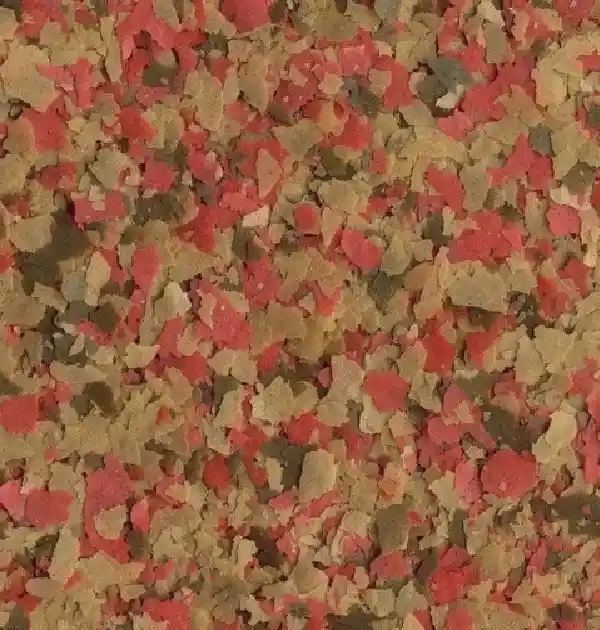 Alimento Para Peces Escamas 52g Tetra Goldfish De Agua Fría