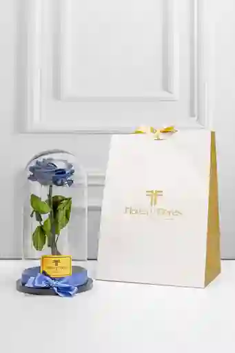 Rosa Preservada Premium Azul