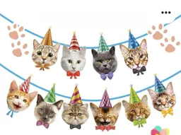 Decoracion Feston De Cumpleaños Para Mascotas