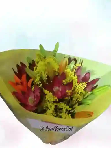 Flores De Proteas Y Lirios ( Scarlatta)