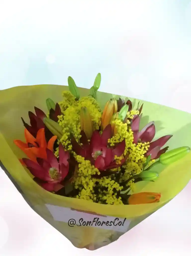 Flores De Proteas Y Lirios ( Scarlatta)