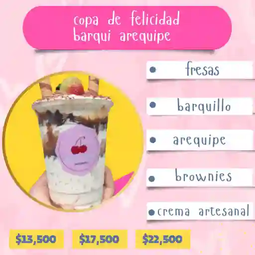 Copa Dr Felicidad Barqui Arequipe
