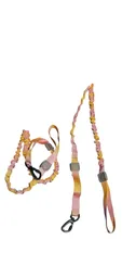 Correa Multicolor Lazo Flexible Larga Para Mascota