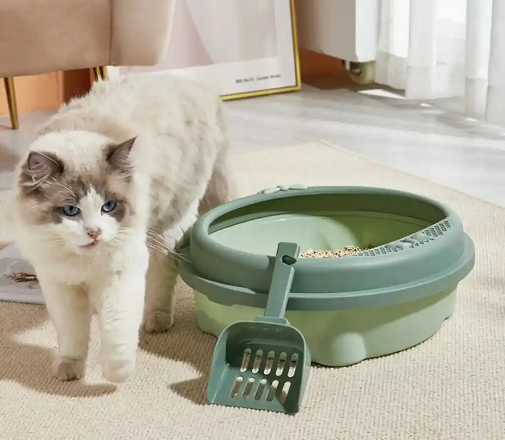 Arenera Redonda Kitty