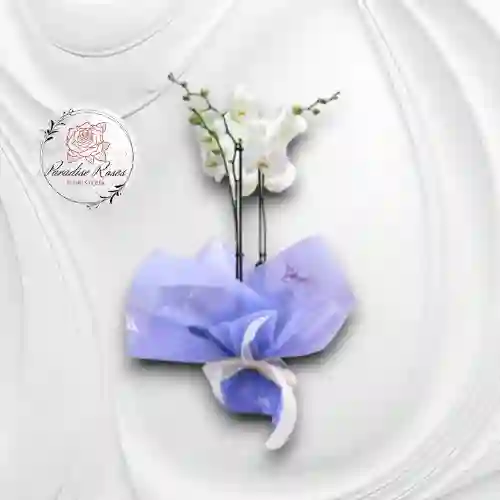 Orquídea Feliz Cumpleaños