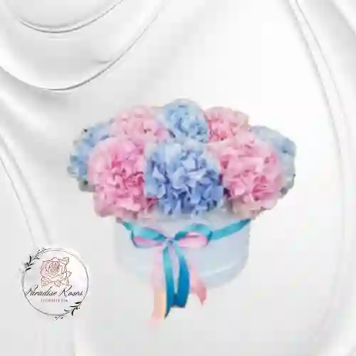Hortensias Cielo