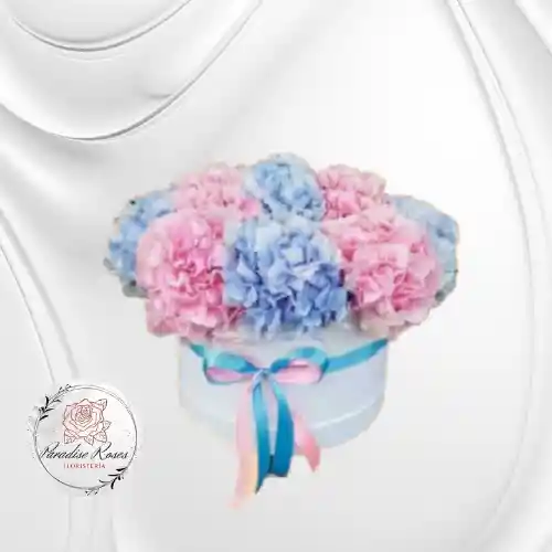 Hortensias Cielo