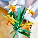 Juego De Construcción Lego 216 Piezas Narcisos Para Niños