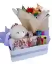 Ancheta Feliz Dia