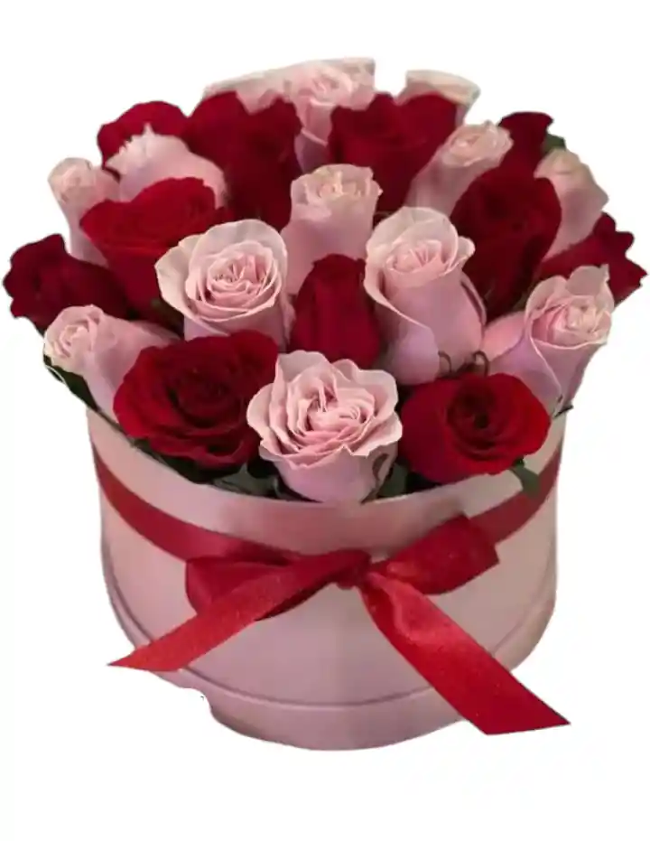 Cilindro En Rosas Rojas Y Rosadas