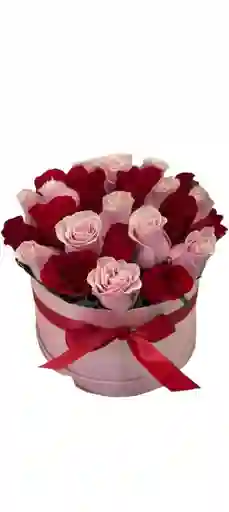 Cilindro En Rosas Rojas Y Rosadas