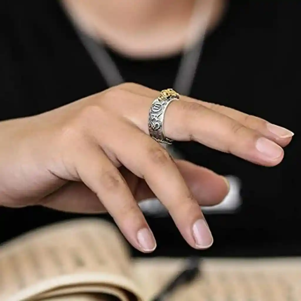 Anillo Pixiu Feng Shui Suerte Riqueza Budista Joya Unisex