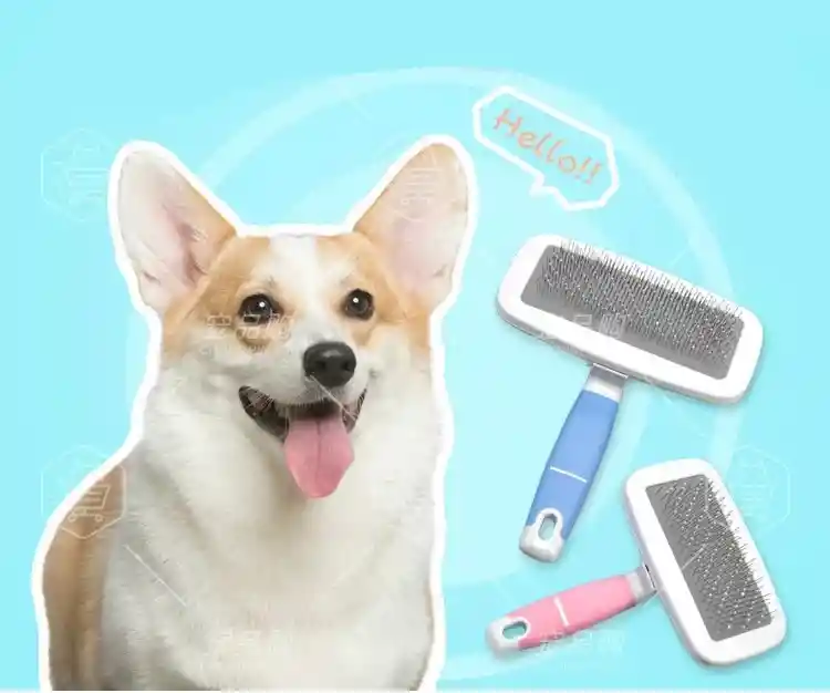 Kit Cepillo Acero Y Peine Colores Surtidos