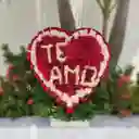 Mi Corazón Es Tu Yo